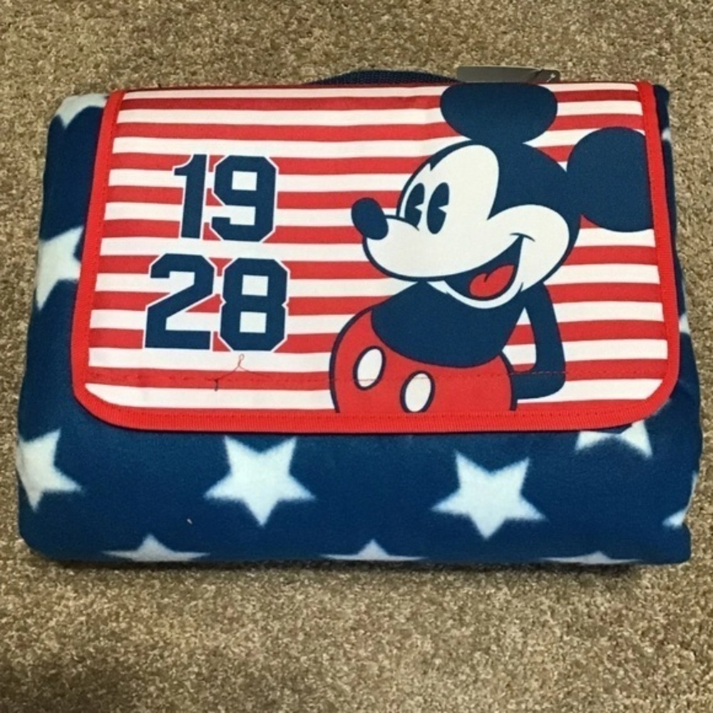 🆕Disney picnic blanket